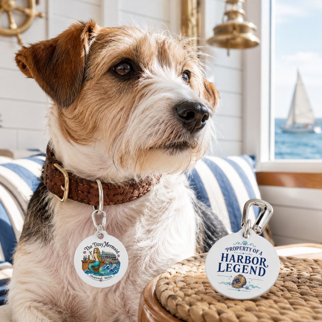Terrier wearing The Titsy Mermaid Harbor Legend Pet Tag on a coastal porch with ocean view